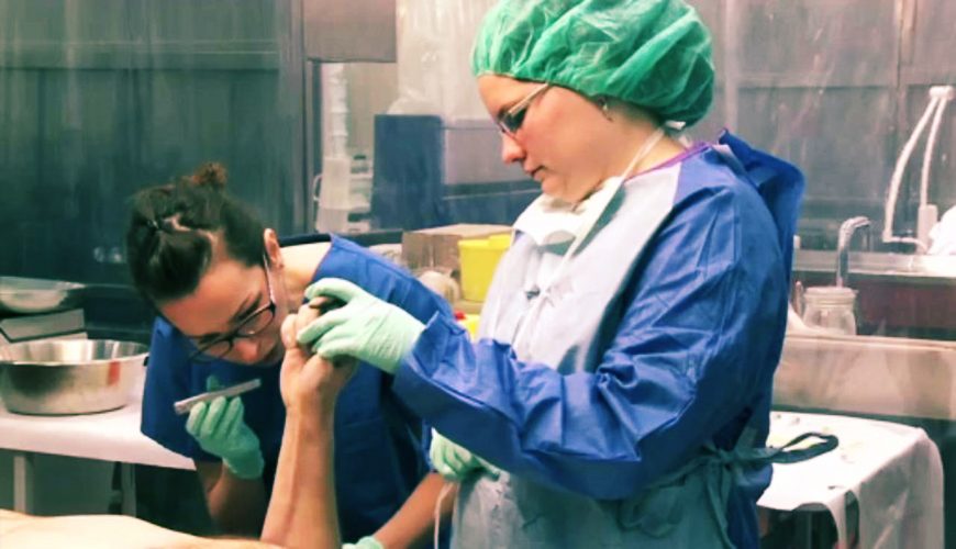 100 Dh pour l'autopsie d'un cadavre : l'exaspération des médecins légistes marocains