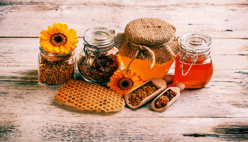 Santé et produits de la ruche à Fès : Coopération scientifique et débat