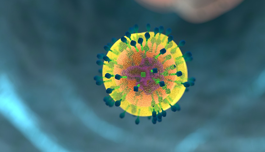 Les Maladies sexuellement transmissibles