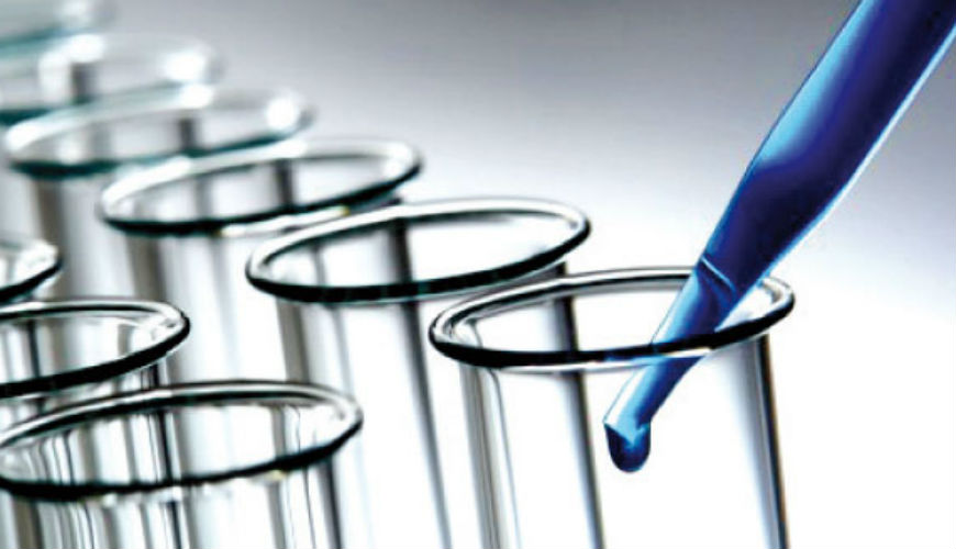Le 6ème Congrès International de Toxicologie à Marrakech