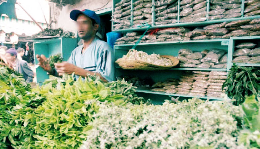 Le forum international sur les plantes aromatiques et médicinales à Fès