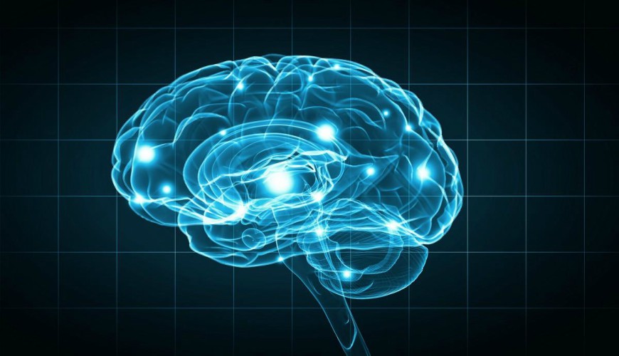 Un cerveau virtuel pour traiter l'épilepsie ?