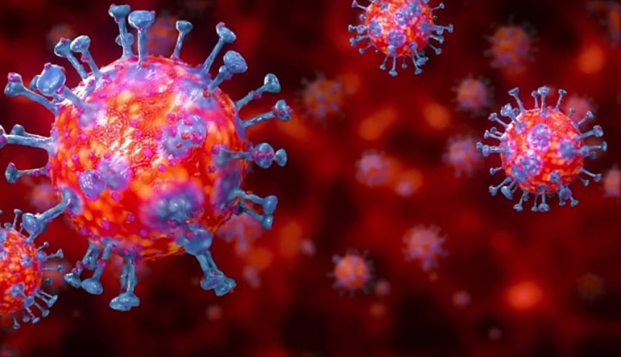 Guide des mesures prévention du coronavirus.