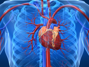 Insuffisance cardiaque