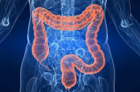 Maladie de Crohn
