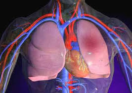 Embolie pulmonaire