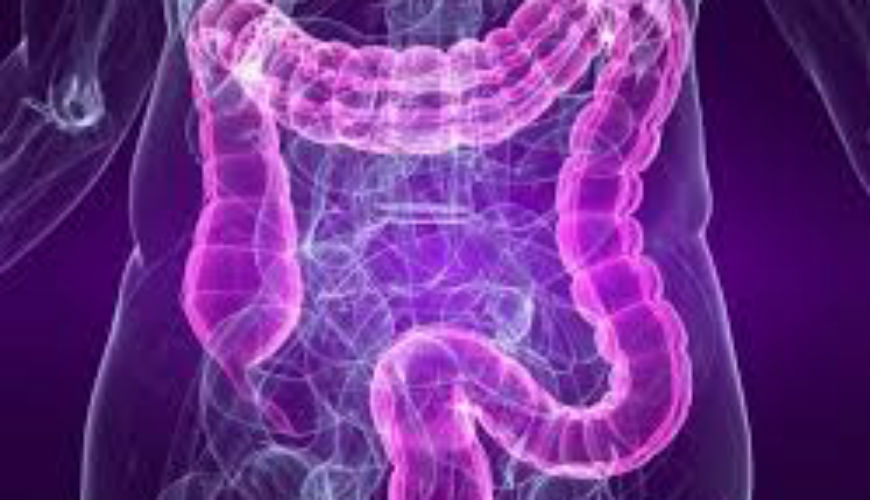 Soulagez le syndrome de l'intestin irritable
