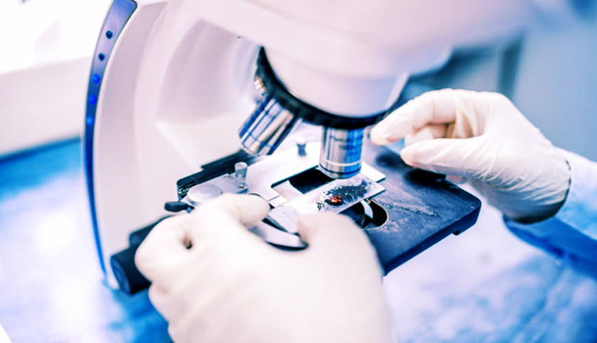 Maroc : Le 16e congrès sur les biotechnologies microbiennes
