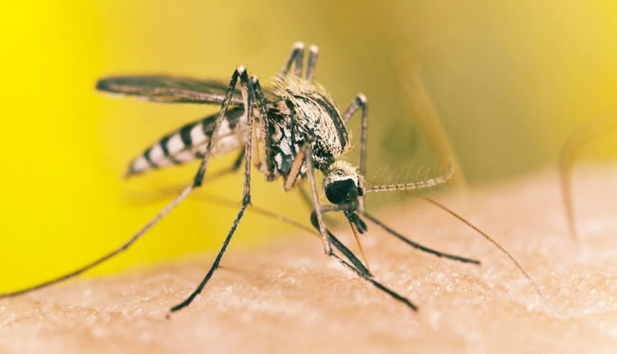 Prévoir les épidémies avec des satellites !!