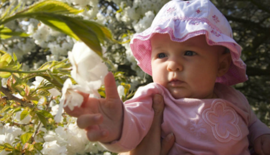 Les bébés nés en été sont en meilleure santé à l'âge adulte